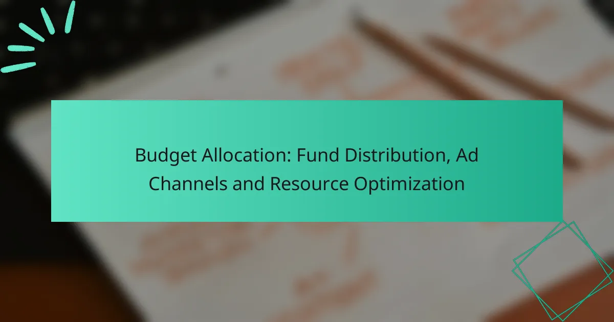 Budget Allocation: Fund Distribution, Ad Channels and Resource Optimization