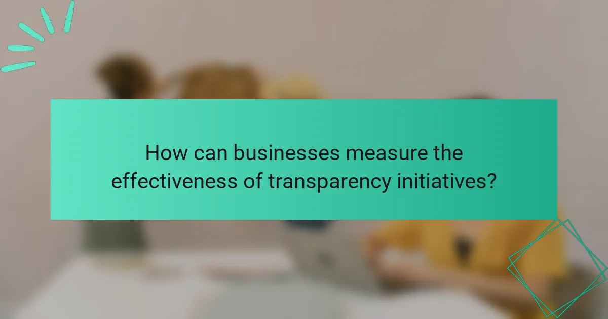How can businesses measure the effectiveness of transparency initiatives?