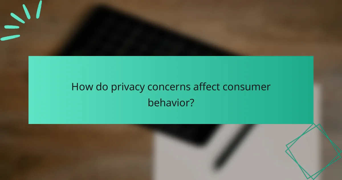 How do privacy concerns affect consumer behavior?