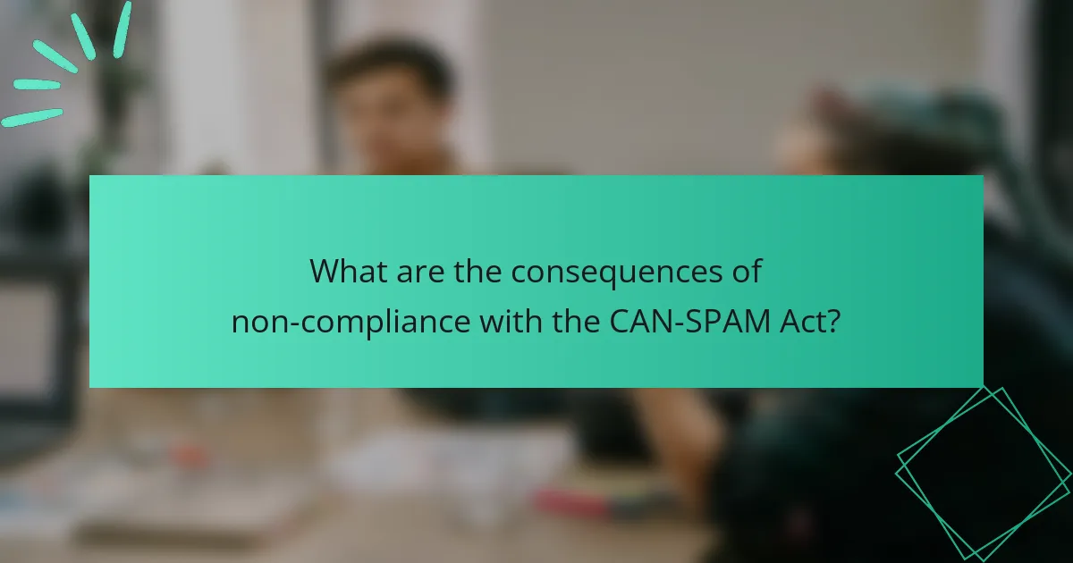What are the consequences of non-compliance with the CAN-SPAM Act?