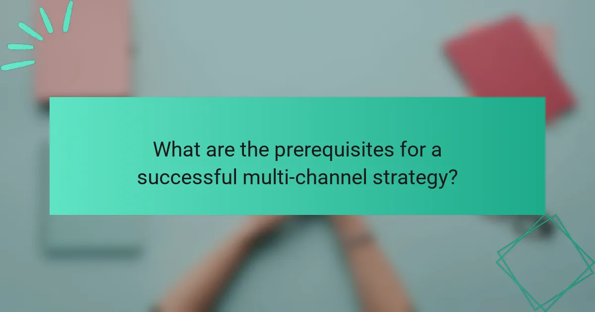 What are the prerequisites for a successful multi-channel strategy?